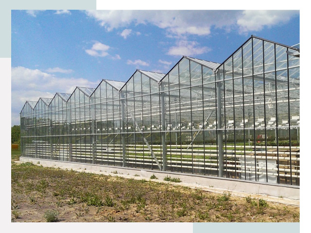 Строительство теплиц в Салехард от 642 руб. за м²